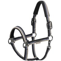 Eskadron Platinum 26 Halfter mit gestreiften Gurtband
