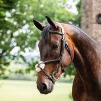 Horseware Micklem Figure 8 Trense mit mexikanischem Reithalfter
