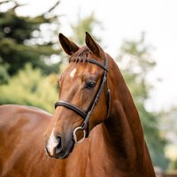 Horseware Hunter Ledertrense