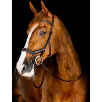 Horseware Micklem Competition Trense