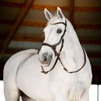 Horseware Micklem Gebisslose Trense