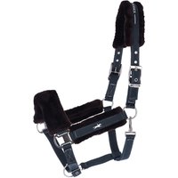 Schockemöhle HW 2026 Halfter SP Melbourne Soft
