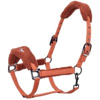 HV Polo Halfter HVPTeddy