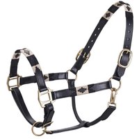 HV Polo Halfter HVPChaya