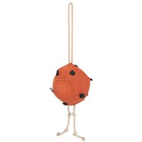 HV Polo Horse ball HVPVolley