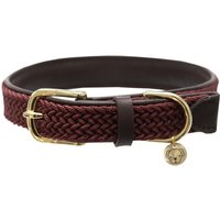Kentucky Dogwear Hundehalsband geflochten Nylon - bordeaux, Größe XL