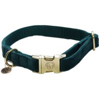 Kentucky Dogwear Velvet Dog Collar Hundehalsband - smaragd, Größe XXS