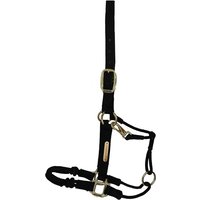 Kentucky Horsewear Kontrollhalfter Nylon