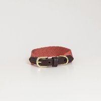 Kentucky Dogwear Jacquard Hundehalsband