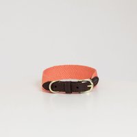 Kentucky Dogwear Jacquard Hundehalsband