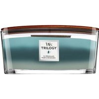 WoodWick Icy Woodland 453,6g