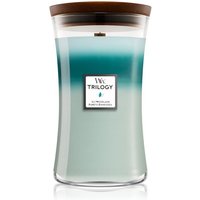 WoodWick Icy Woodland 609,5g