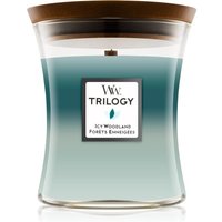 WoodWick Icy Woodland Candle
