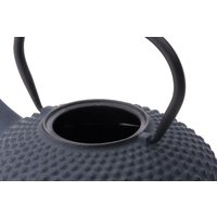 Bredemeijer Jing 0,8 L