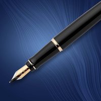 Waterman Expert noir (S0951660)