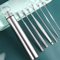 Portable Stainless Steel Ear Cleaning Kit Piece Professional Ear Pick Set for Safe & Hygienic Care