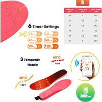 App-Controlled Heated Insoles for Warm Feet and Winter Outdoor Comfort