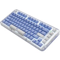 Wireless Mechanical Keyboard with Hot-Swappable Switches and Backlit Keys