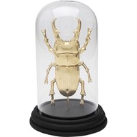 KARE DESIGN Deko Objekt Bell Jar Hercules Beetle 20cm