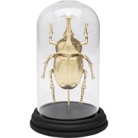 KARE DESIGN Deko Objekt Bell Jar Stag Beetle 20cm