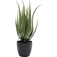 KARE DESIGN Deko Pflanze Aloe 69cm