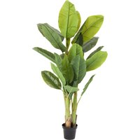KARE DESIGN Deko Pflanze Banana Tree 180cm