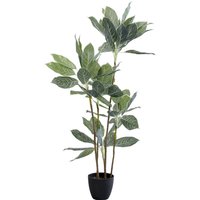 KARE DESIGN Deko Pflanze Calathea 140cm