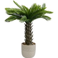 KARE DESIGN Deko Pflanze Cycas 70cm