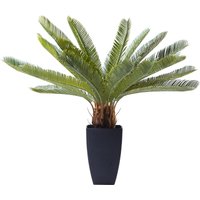 KARE DESIGN Deko Pflanze Cycas Tree 78cm