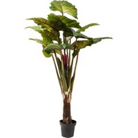 KARE DESIGN Deko Pflanze Rainforest Green 160cm