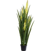 KARE DESIGN Deko Pflanze Rhynchostylis 150cm