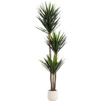 KARE DESIGN Deko Pflanze Yucca 250cm