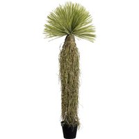KARE DESIGN Deko Pflanze Yucca Rostrata 180cm