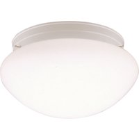 Two Light Flush Mount