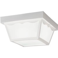 Two Light Outdoor Ceiling Mount