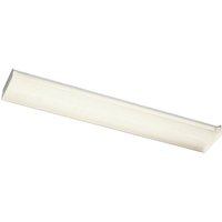 Two Light Linear Ceiling Mount