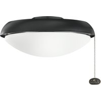 One Light Fan Light Kit