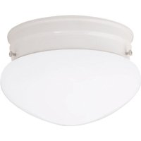 Two Light Ceiling Fixture