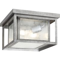 Two Light Outdoor Flush Mount