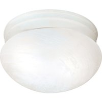 Two Light Flush Mount