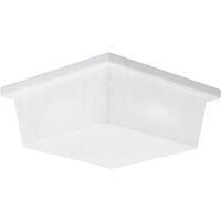 Two Light Outdoor Wall / Flush Mount