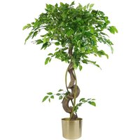 Leaf - 120cm Twisted Trunk Artificial Japanese Fruticosa Style Ficus Tree Gold Planter