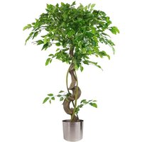 Leaf - 120cm Twisted Trunk Artificial Japanese Fruticosa Style Ficus Tree Silver Planter
