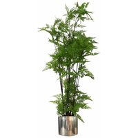 Leaf - 150cm Artificial Natural Extra Large Fern Foliage Plant with Silver Metal Plater