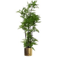 Leaf - 150cm Artificial Natural Moss Base Fern Foliage Plant with Gold Metal Planter