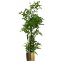 Leaf - 150cm Artificial Natural Moss Base Fern Foliage Plant with Gold Metal Planter
