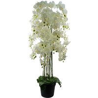 150cm Giant White Orchid Plant Artificial 189 flowers REAL TOUCH