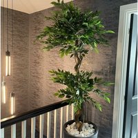 Leaf - 150cm Twisted Trunk Artificial Japanese Fruticosa Style Ficus Tree