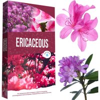 20 Litres Ericaceous Special Formula Plant Soil Grow With Camellia, Azalea, Rhododendron and Heather