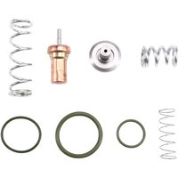 2901109500 Compressor Spare Repair Kit for Atlas